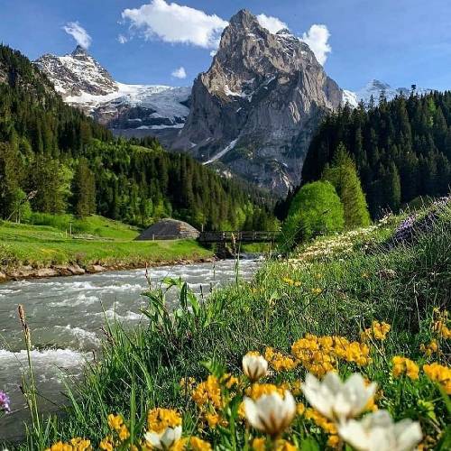 فرشید حکمتی دوش اومدم و حونت جونمه کنوم نثارت